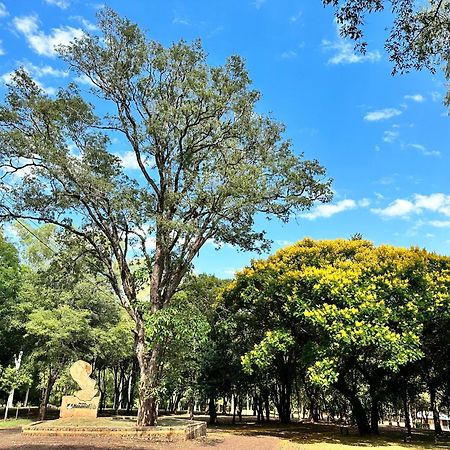 Parque Hotel Manantial Hohenau ภายนอก รูปภาพ