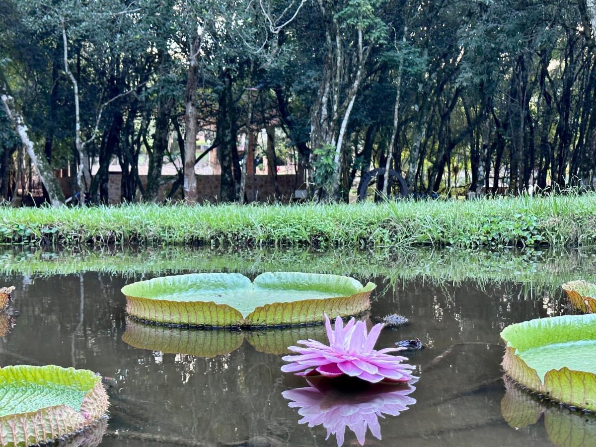 Parque Hotel Manantial Hohenau ภายนอก รูปภาพ