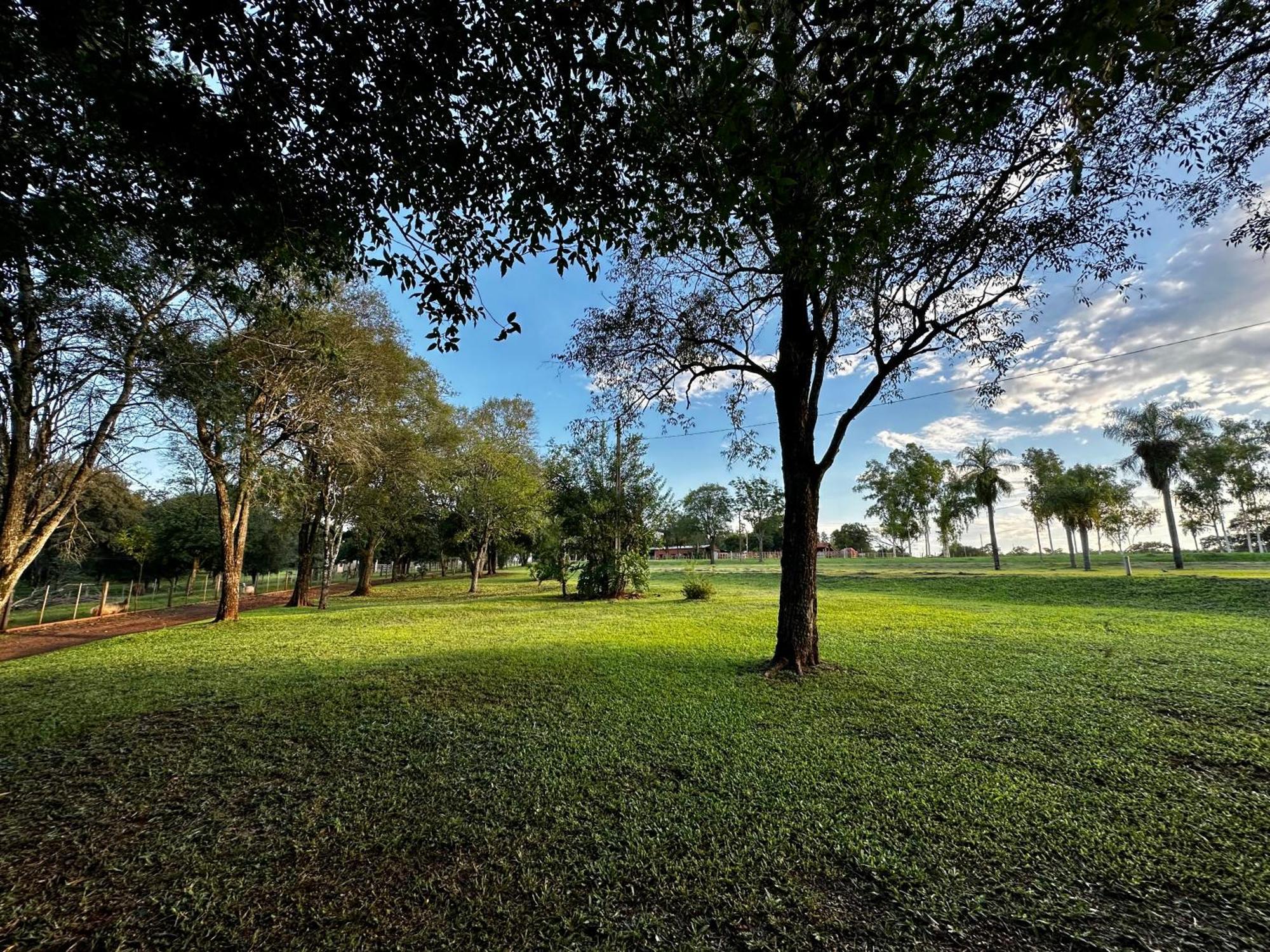 Parque Hotel Manantial Hohenau ภายนอก รูปภาพ